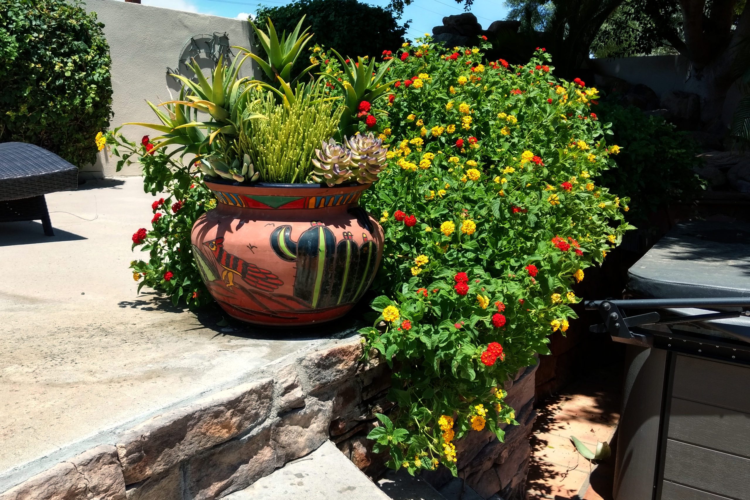 Feature Lush Scottsdale Oasis! Short Term Rental Manager